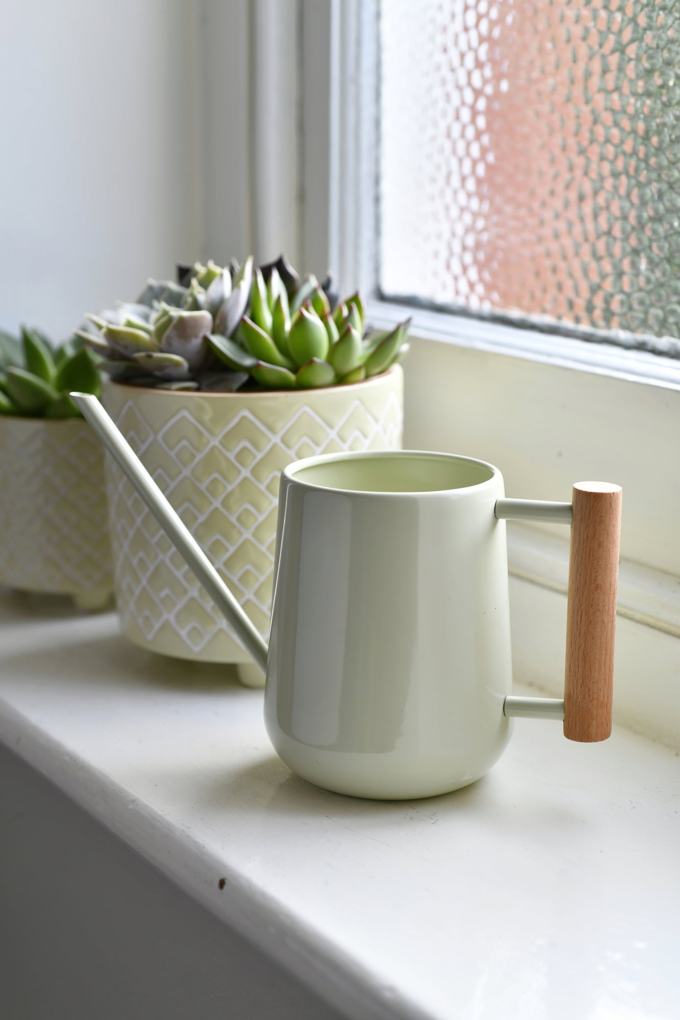 Arrosoir pour Plantes d'Intérieur 