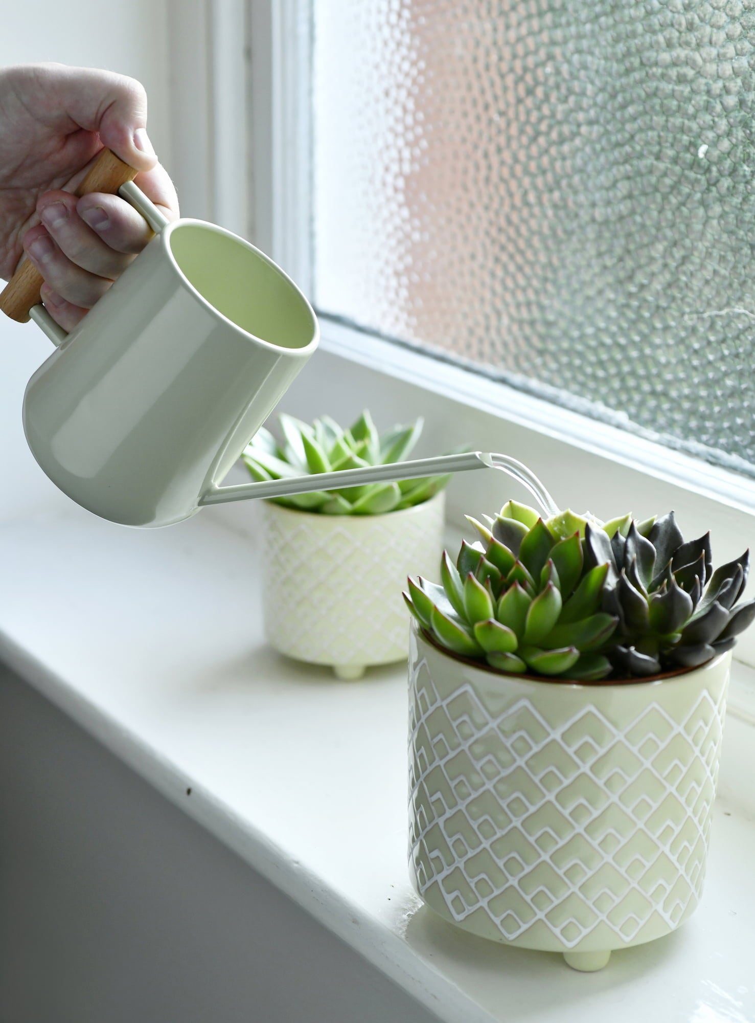 Arrosoir pour Plantes d'Intérieur 