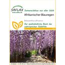 Saflax Afrikai wisteria - 1 csomag