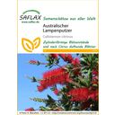Saflax Kefevirág - 1 csomag