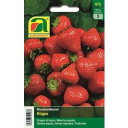AUSTROSAAT Monatserdbeeren "Rügen"