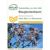 Saflax Blauglockenbaum