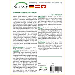 Saflax Bódhifa - 1 csomag