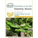 Saflax Darjeeling - Banán - 1 csomag