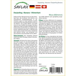 Saflax Darjeeling - Banaan - 1 Verpakking