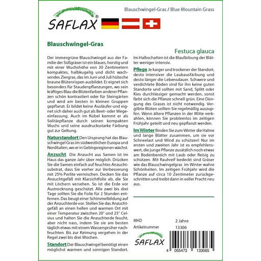 Saflax Blauschwingel-Gras - 1 Pkg