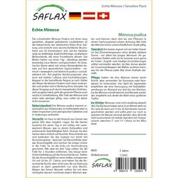Saflax Valódi mimóza - 1 csomag
