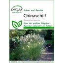 Saflax Chinaschilf - 1 Pkg