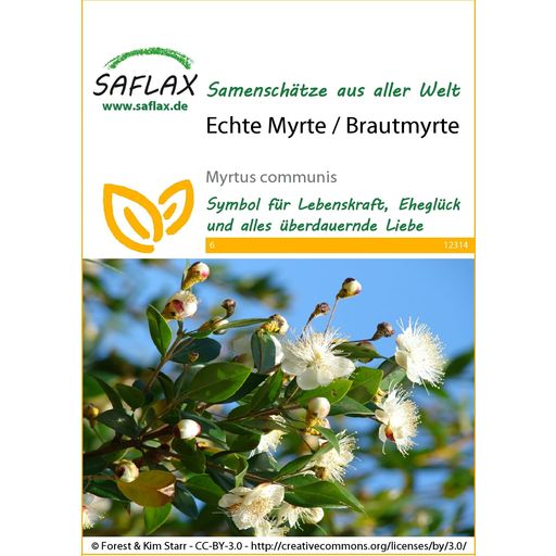 Saflax Echte Myrte / Brautmyrte - 1 Pkg
