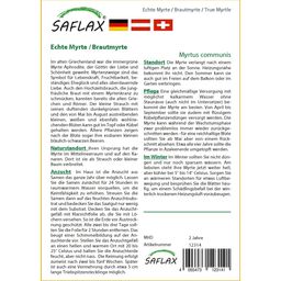 Saflax Mirte - 1 Verpakking