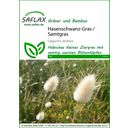 Saflax Hazenstaart Gras / Fluweelgras - 1 Verpakking