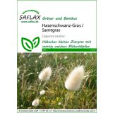 Saflax Hazenstaart Gras / Fluweelgras