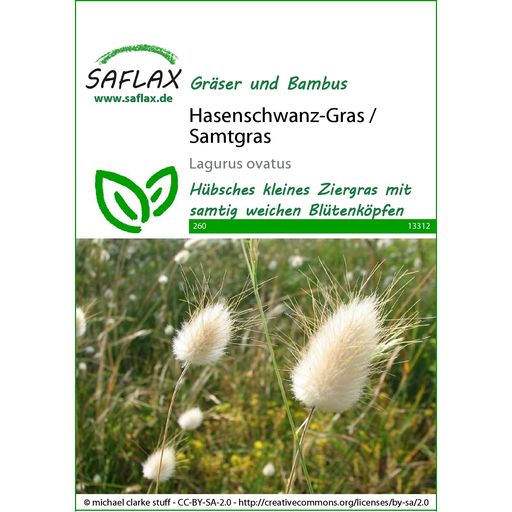 Saflax Hasenschwanz-Gras / Samtgras - 1 Pkg