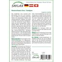 Saflax Hazenstaart Gras / Fluweelgras - 1 Verpakking