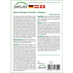 Saflax Stipa Géante - 1 sachet