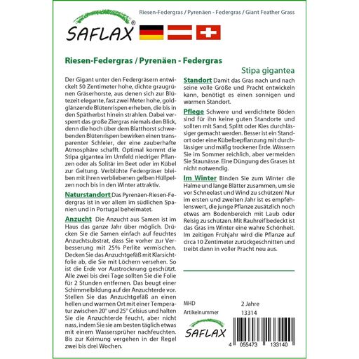 Saflax Riesen-Federgras / Pyrenäen - Federgras - 1 Pkg