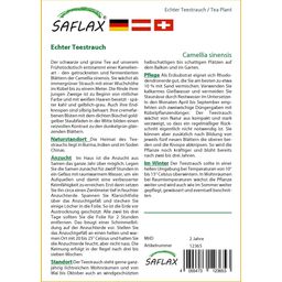 Saflax Valódi tea cserje - 1 csomag