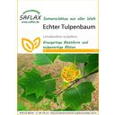 Saflax Echter Tulpenbaum - 1 Pkg