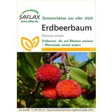 Saflax Erdbeerbaum