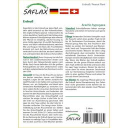 Saflax Pinda - 1 Verpakking