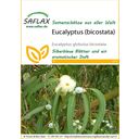 Saflax Eucalyptus (Bicostata) - 1 Verpakking