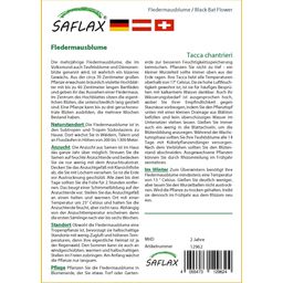 Saflax Vleermuisbloem - 1 Verpakking