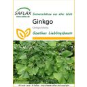 Saflax Ginkgo - 1 Pkg
