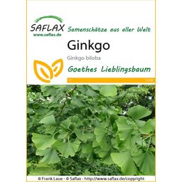 Saflax Ginkgo - 1 csomag