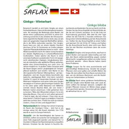 Saflax Ginkgo - 1 csomag