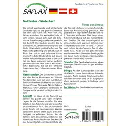Saflax Gele Den - 1 Verpakking