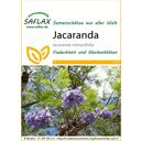 Saflax Jacaranda - 1 Pkg