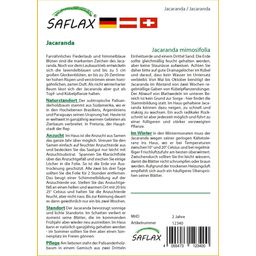 Saflax Mimózalevelű zsakaranda - 1 csomag