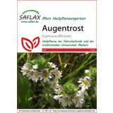 Saflax Eufrasia Officinale