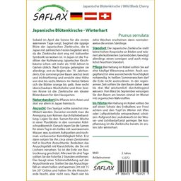 Saflax Japán díszcseresznye - 1 csomag