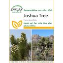 Saflax Joshua Tree - 1 Pkg