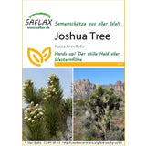 Saflax Joshua Tree