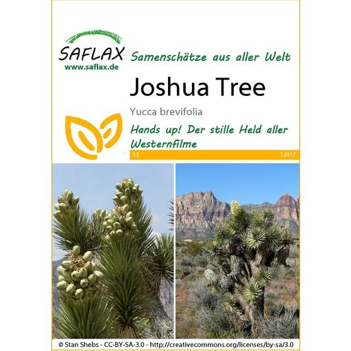 Saflax Joshua Tree - 1 Pkg