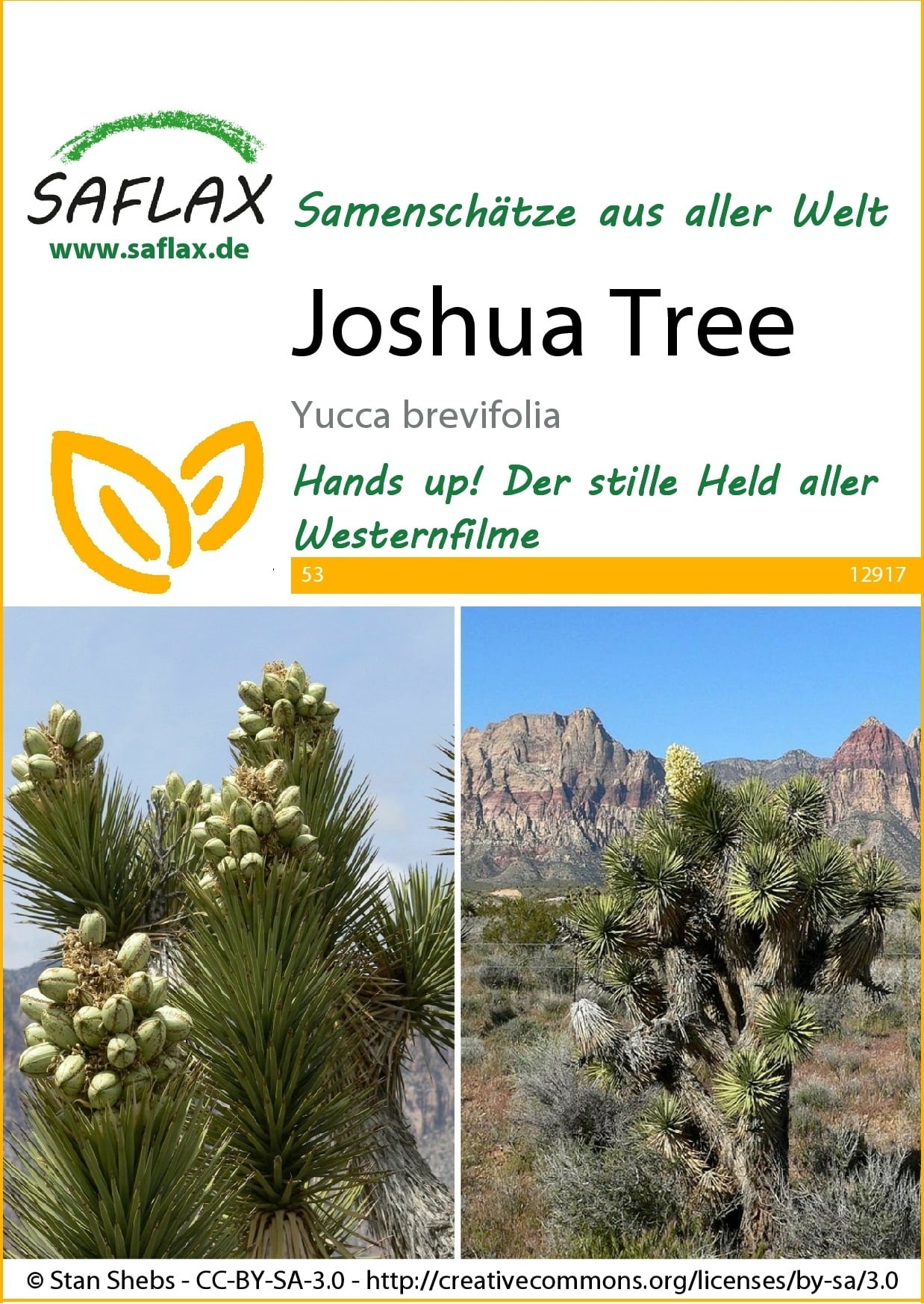 Saflax Joshua Tree - 1 Pkg
