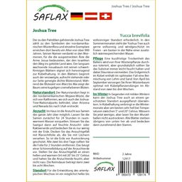 Saflax Joshua Tree - 1 Verpakking