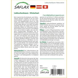 Saflax Kislevelű kacsurafa - 1 csomag