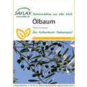 Saflax Olijfboom - 1 Verpakking