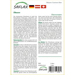 Saflax Olivier - 1 sachet