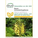 Saflax Riesen - Schmetterlingsblume - 1 Pkg