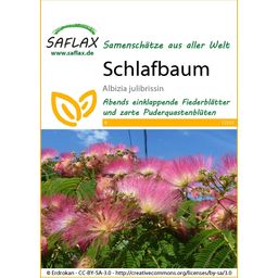 Saflax Schlafbaum
