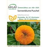 Saflax Sončnica Puschel