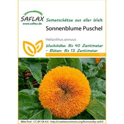 Saflax Zonnebloem Puschel - 1 Verpakking