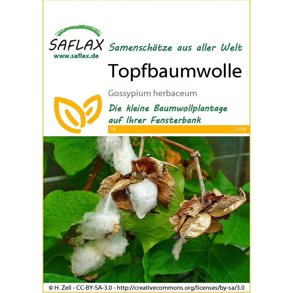 Saflax Topfbaumwolle, Packung Bloomling Deutschland