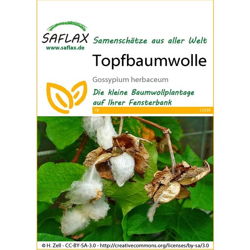 Saflax Topfbaumwolle - 1 Pkg