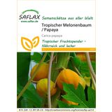 Saflax Tropische Meloenboom / Papaja
