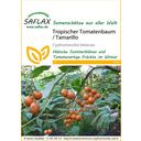 Saflax Tropische Tomatenboom / Tamarillo - 1 Verpakking